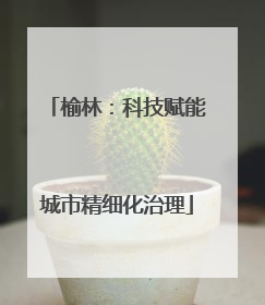 榆林：科技赋能城市精细化治理